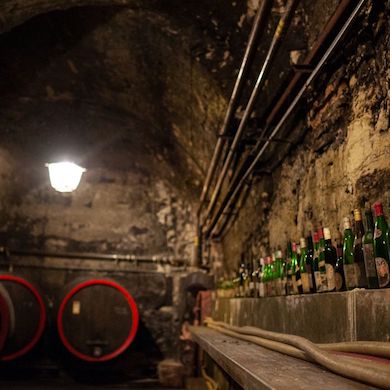 Lobkowiczké Zámecké Vinařství Roudnice Nad Labem