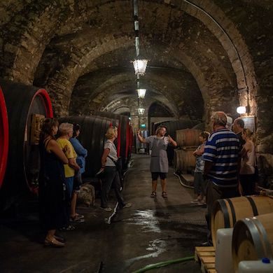 Lobkowiczké Zámecké Vinařství Roudnice Nad Labem