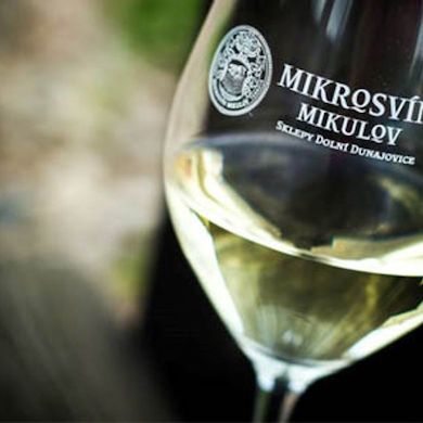 Mikrosvín Mikulov