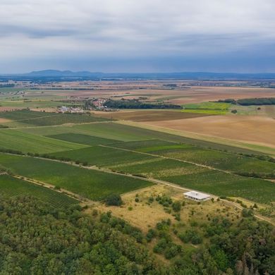 Vinařství Trpělka & Oulehla